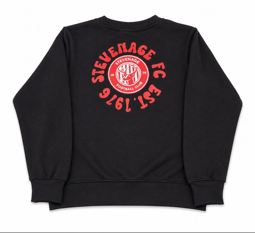 Black Hoodie - red bubble logo