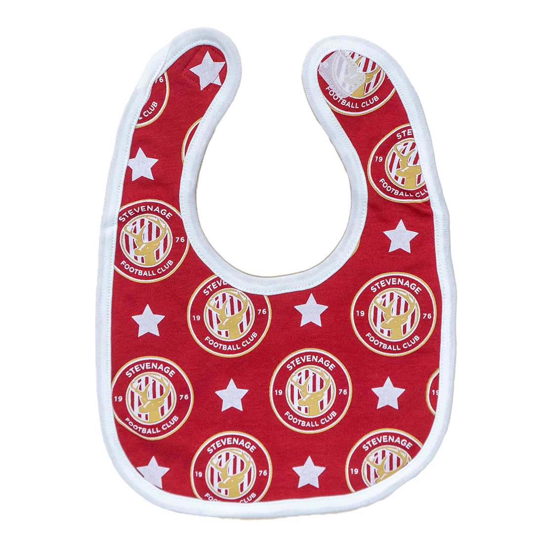 Baby Bibs 2 Pack