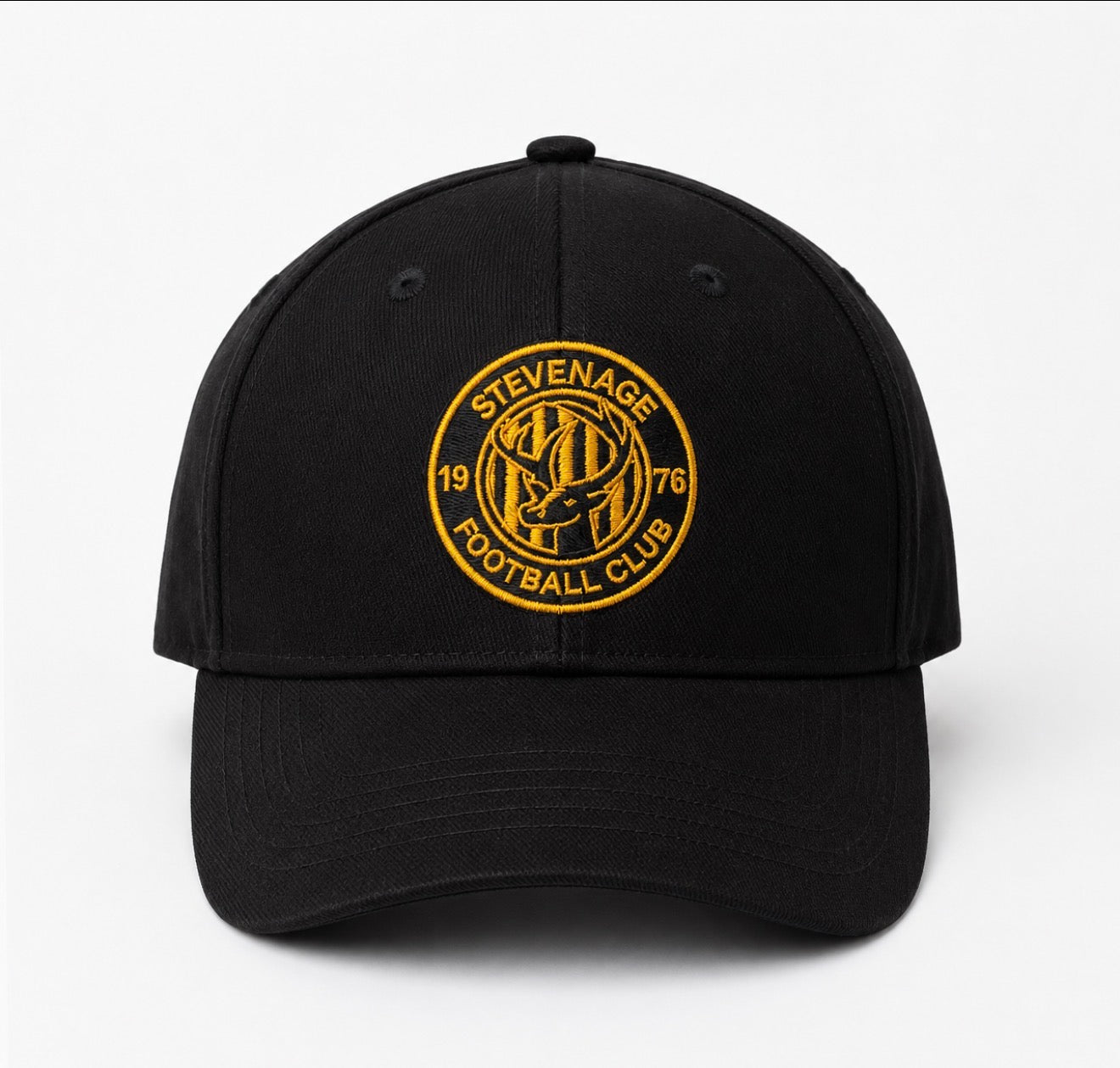 Black and Gold logo cap