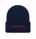 Navy Beanie Hat